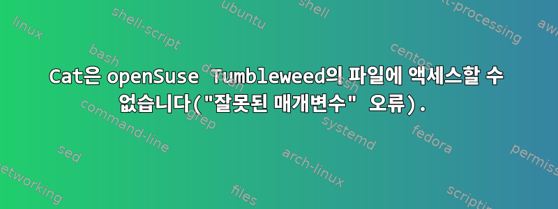 Cat은 openSuse Tumbleweed의 파일에 액세스할 수 없습니다("잘못된 매개변수" 오류).