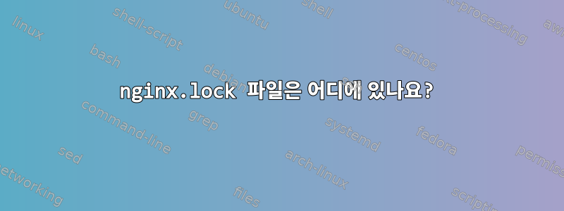 nginx.lock 파일은 어디에 있나요?