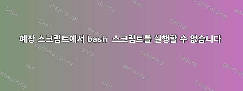 예상 스크립트에서 bash 스크립트를 실행할 수 없습니다