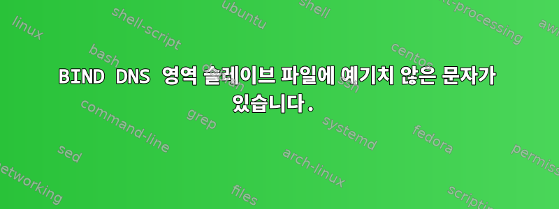 BIND DNS 영역 슬레이브 파일에 예기치 않은 문자가 있습니다.