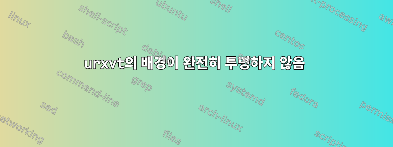 urxvt의 배경이 완전히 투명하지 않음