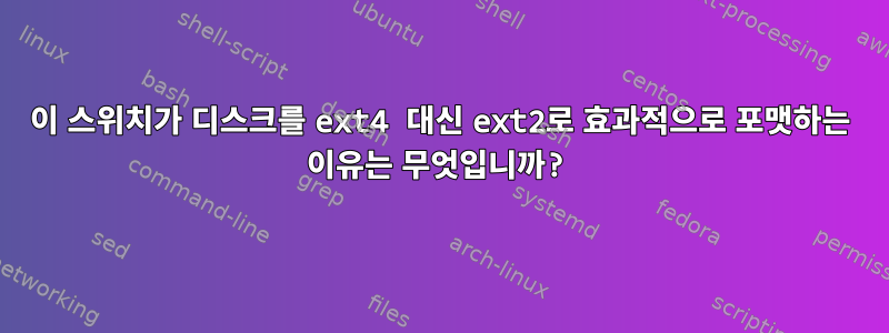 이 스위치가 디스크를 ext4 대신 ext2로 효과적으로 포맷하는 이유는 무엇입니까?