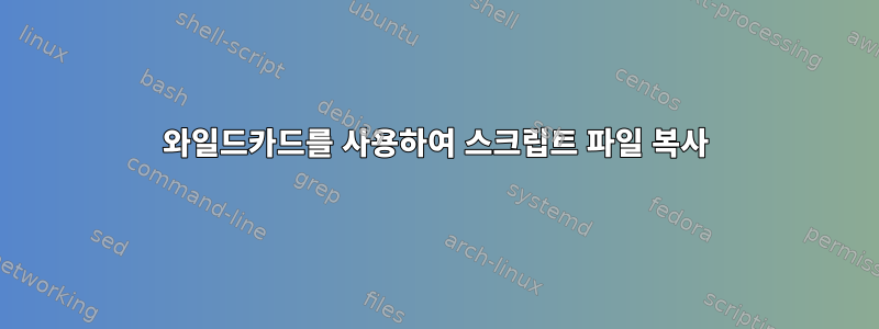 와일드카드를 사용하여 스크립트 파일 복사