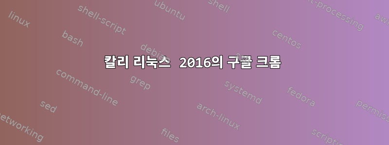 칼리 리눅스 2016의 구글 크롬