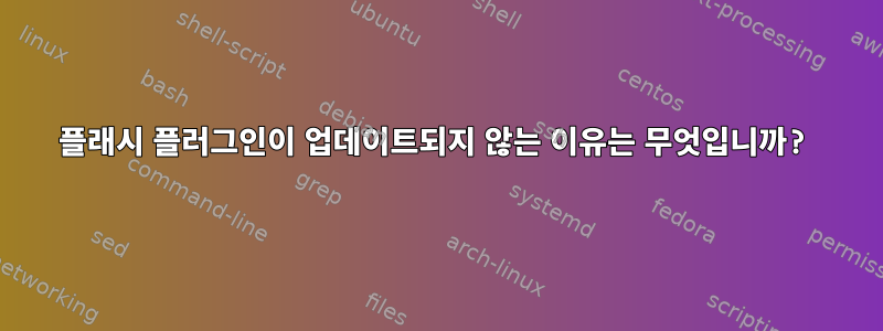 플래시 플러그인이 업데이트되지 않는 이유는 무엇입니까?