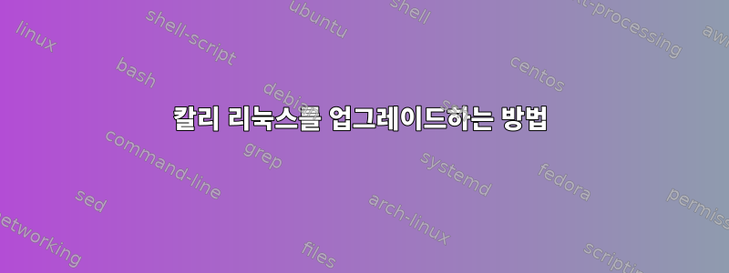 칼리 리눅스를 업그레이드하는 방법