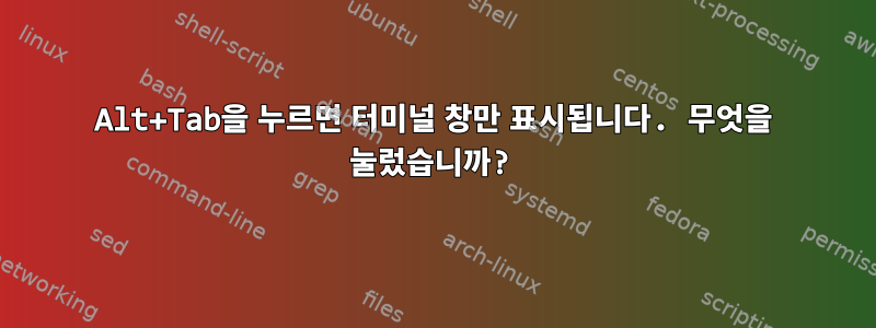 Alt+Tab을 누르면 터미널 창만 표시됩니다. 무엇을 눌렀습니까?