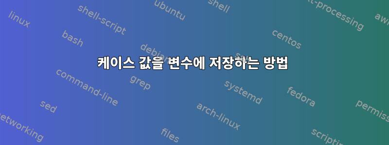 케이스 값을 변수에 저장하는 방법