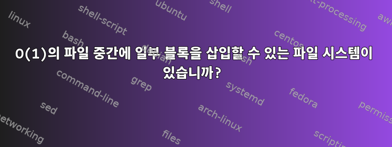 O(1)의 파일 중간에 일부 블록을 삽입할 수 있는 파일 시스템이 있습니까?