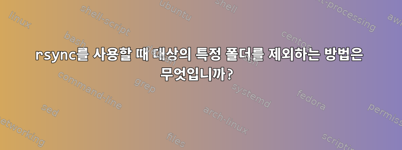 rsync를 사용할 때 대상의 특정 폴더를 제외하는 방법은 무엇입니까?