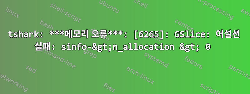 tshark: ***메모리 오류***: [6265]: GSlice: 어설션 실패: sinfo-&gt;n_allocation &gt; 0