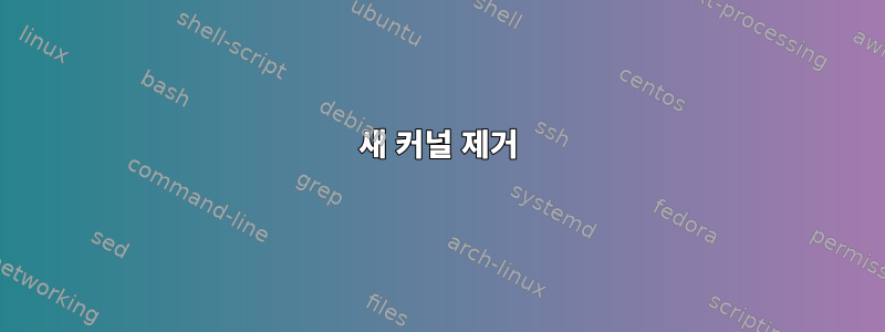 새 커널 제거