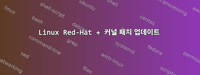 Linux Red-Hat + 커널 패치 업데이트