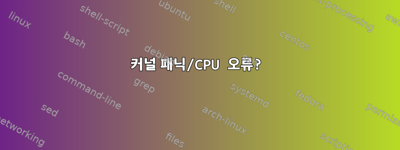 커널 패닉/CPU 오류?