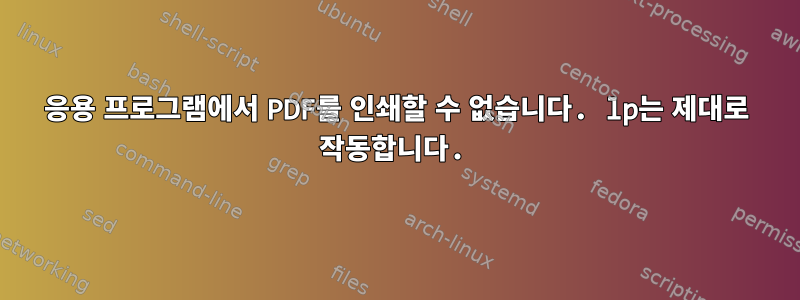 응용 프로그램에서 PDF를 인쇄할 수 없습니다. lp는 제대로 작동합니다.