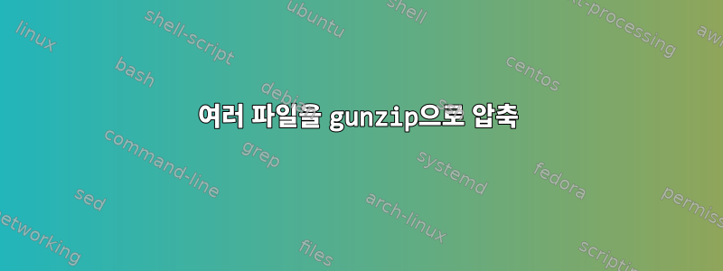 여러 파일을 gunzip으로 압축