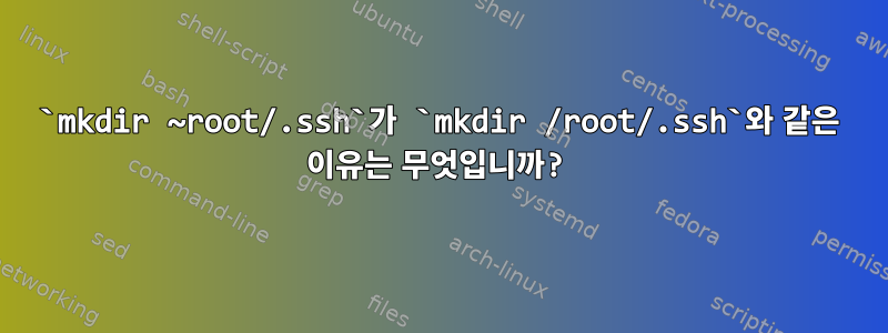 `mkdir ~root/.ssh`가 `mkdir /root/.ssh`와 같은 이유는 무엇입니까?