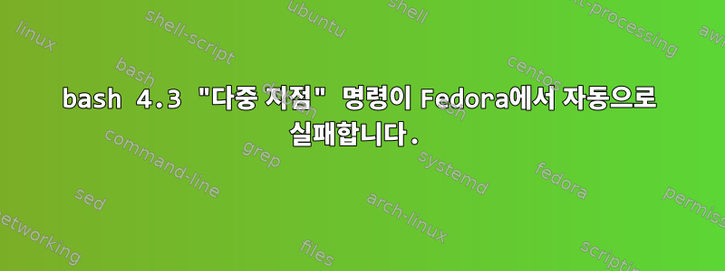 bash 4.3 "다중 지점" 명령이 Fedora에서 자동으로 실패합니다.