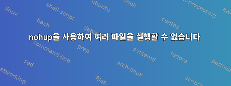 nohup을 사용하여 여러 파일을 실행할 수 없습니다