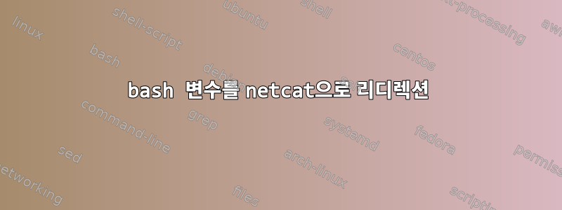 bash 변수를 netcat으로 리디렉션