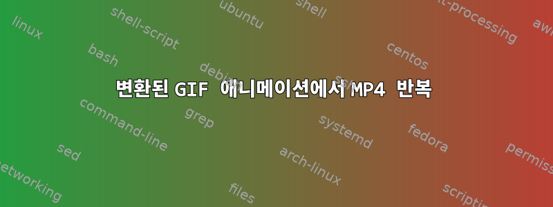 변환된 GIF 애니메이션에서 MP4 반복