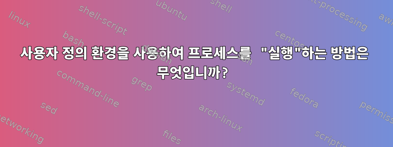 사용자 정의 환경을 사용하여 프로세스를 "실행"하는 방법은 무엇입니까?