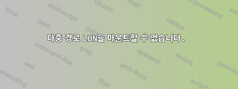 다중 경로 LUN을 마운트할 수 없습니다.