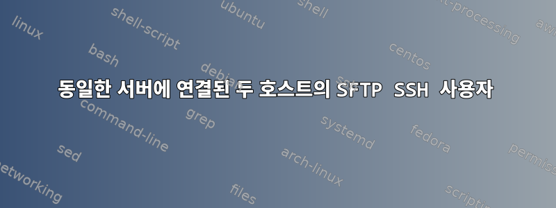 동일한 서버에 연결된 두 호스트의 SFTP SSH 사용자