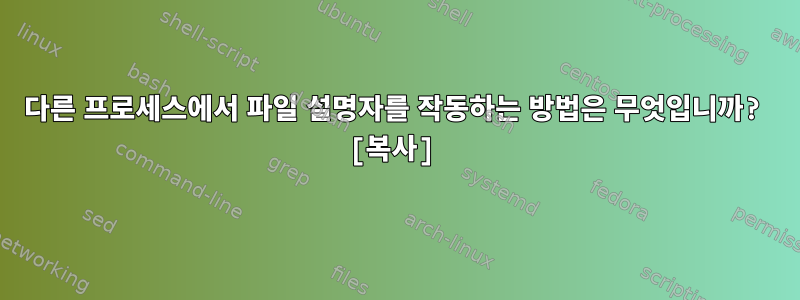 다른 프로세스에서 파일 설명자를 작동하는 방법은 무엇입니까? [복사]