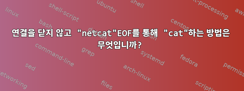 연결을 닫지 않고 "netcat"EOF를 통해 "cat"하는 방법은 무엇입니까?