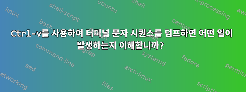 Ctrl-v를 사용하여 터미널 문자 시퀀스를 덤프하면 어떤 일이 발생하는지 이해합니까?