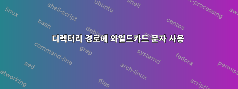 디렉터리 경로에 와일드카드 문자 사용