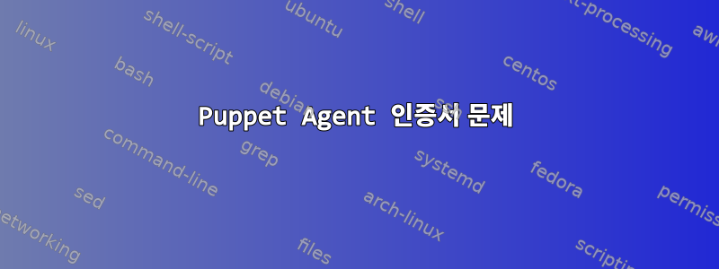 Puppet Agent 인증서 문제