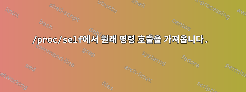 /proc/self에서 원래 명령 호출을 가져옵니다.