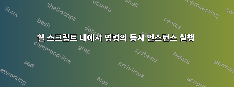 쉘 스크립트 내에서 명령의 동시 인스턴스 실행