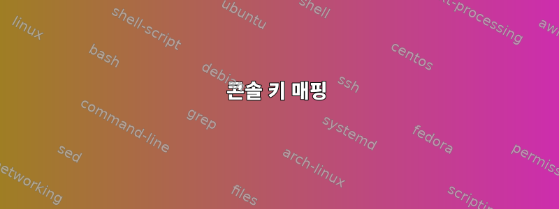 콘솔 키 매핑