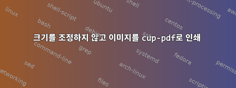 크기를 조정하지 않고 이미지를 cup-pdf로 인쇄