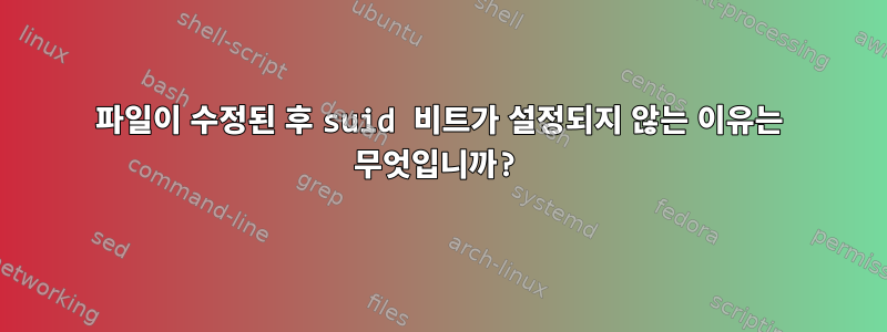 파일이 수정된 후 suid 비트가 설정되지 않는 이유는 무엇입니까?