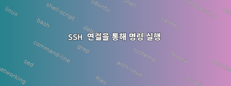 SSH 연결을 통해 명령 실행