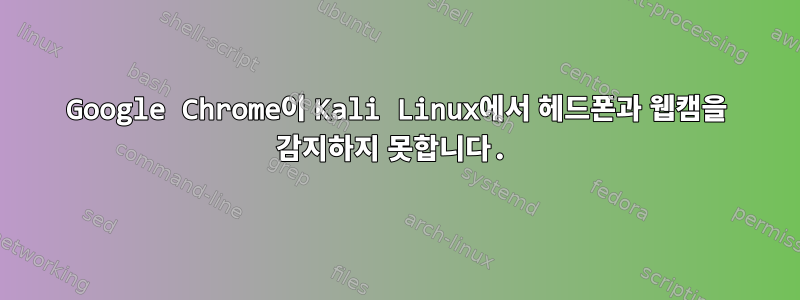 Google Chrome이 Kali Linux에서 헤드폰과 웹캠을 감지하지 못합니다.