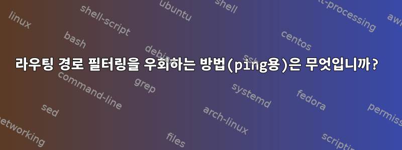 라우팅 경로 필터링을 우회하는 방법(ping용)은 무엇입니까?