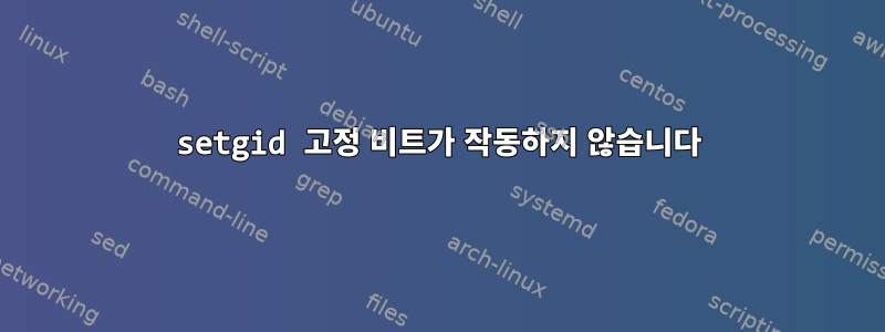 setgid 고정 비트가 작동하지 않습니다