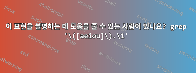 이 표현을 설명하는 데 도움을 줄 수 있는 사람이 있나요? grep '\([aeiou]\).\1'