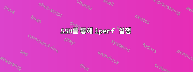 SSH를 통해 iperf 실행