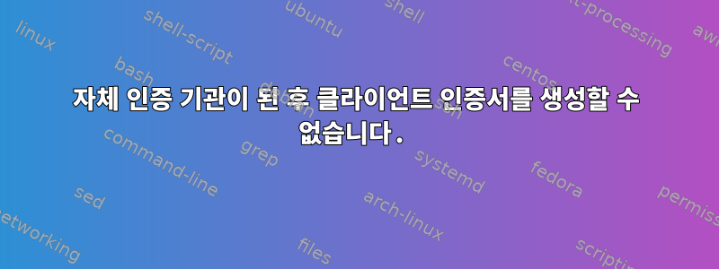 자체 인증 기관이 된 후 클라이언트 인증서를 생성할 수 없습니다.