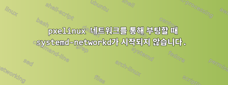 pxelinux 네트워크를 통해 부팅할 때 systemd-networkd가 시작되지 않습니다.