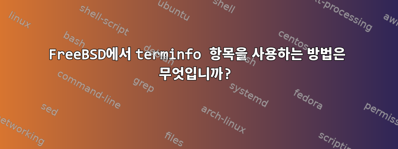 FreeBSD에서 terminfo 항목을 사용하는 방법은 무엇입니까?