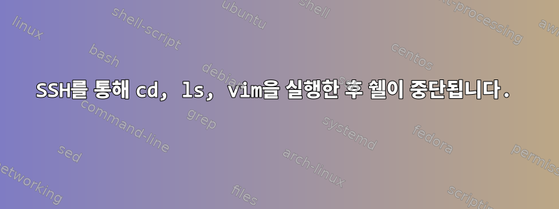 SSH를 통해 cd, ls, vim을 실행한 후 쉘이 중단됩니다.