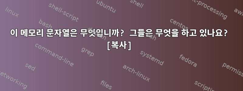 이 메모리 문자열은 무엇입니까? 그들은 무엇을 하고 있나요? [복사]