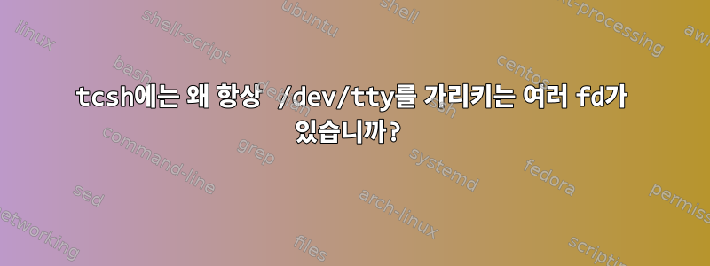 tcsh에는 왜 항상 /dev/tty를 가리키는 여러 fd가 있습니까?